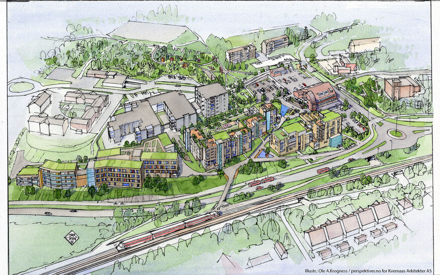 Illustrasjon Ole A. Krogness